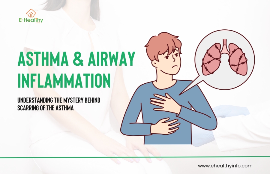 What is Asthma & Airway Inflammation?