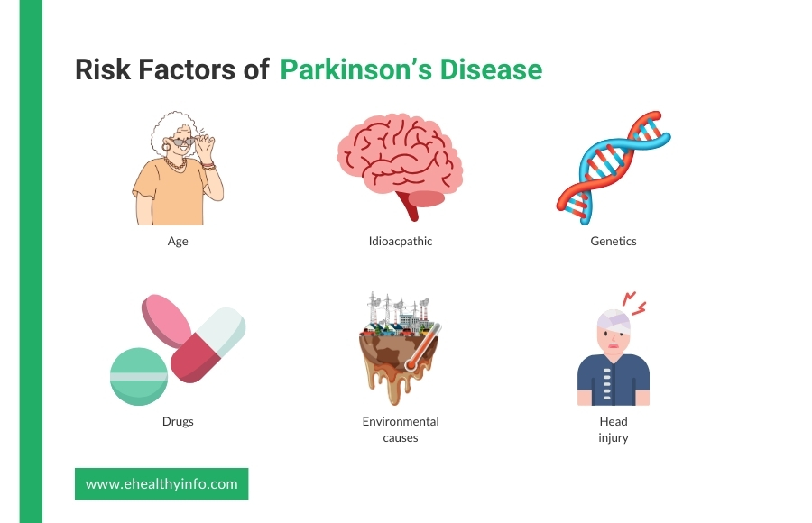 What are the risk factors for parkinson's disease?