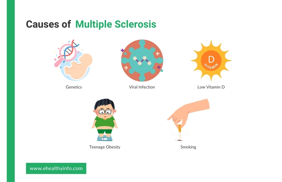 multiple sclerosis cause