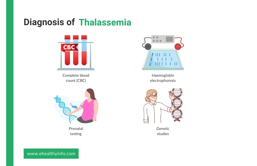 diagnosis of thalassemia