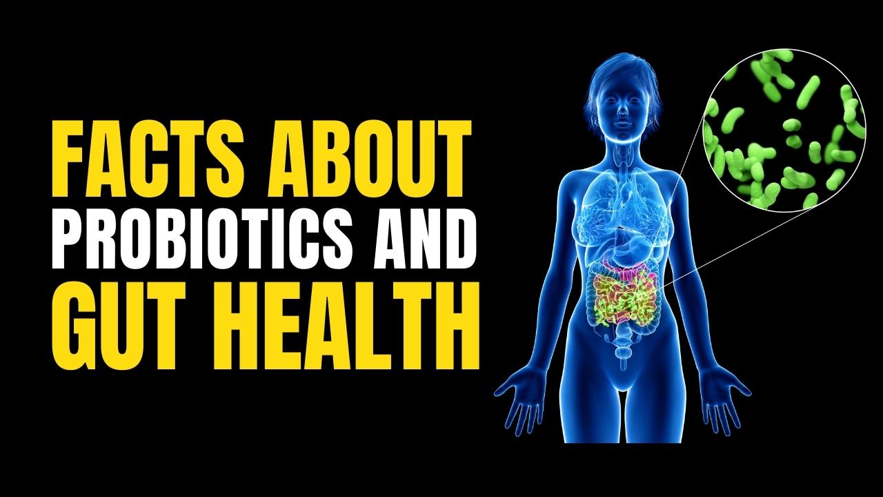 Probiotics and Their Impact On Gut Health