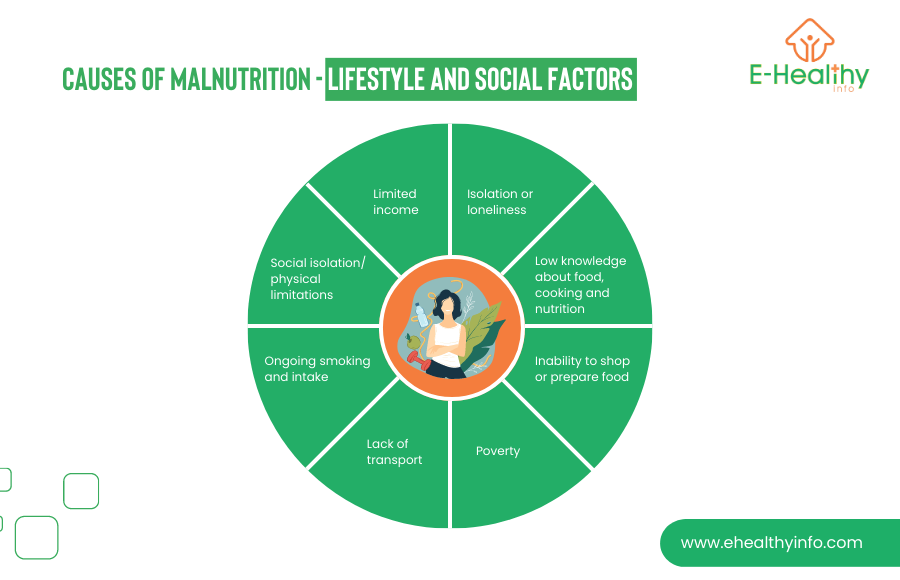 Causes Of Malnutrition - Lifestyle And Social Factors