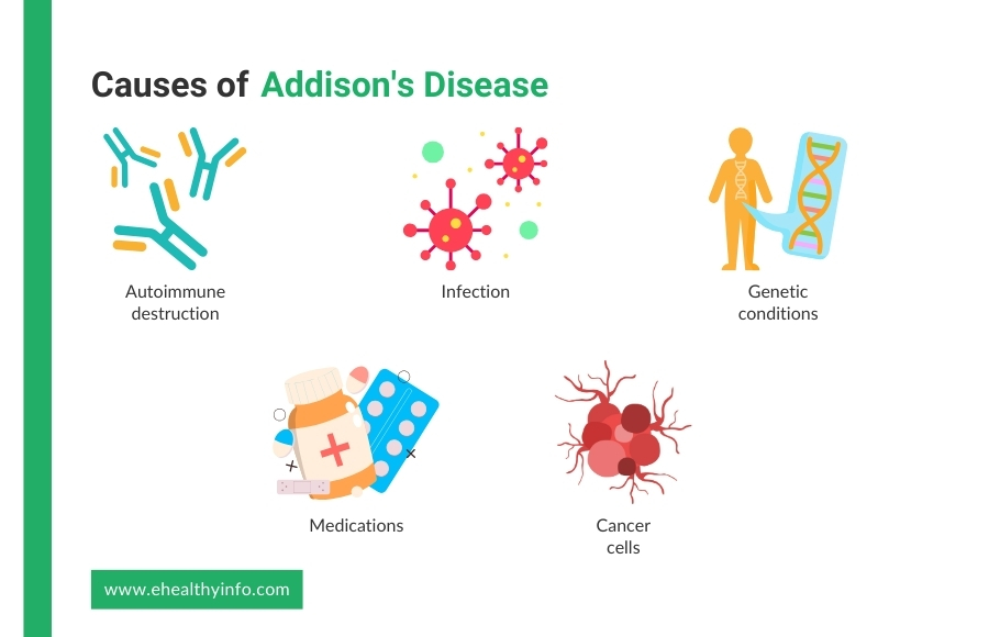 Causes of Addison's Disease