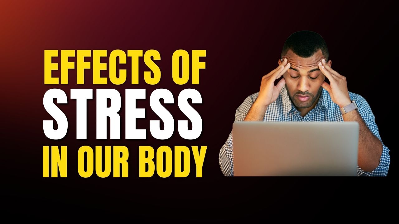 What Happens to Your Body When You’re Stressed?