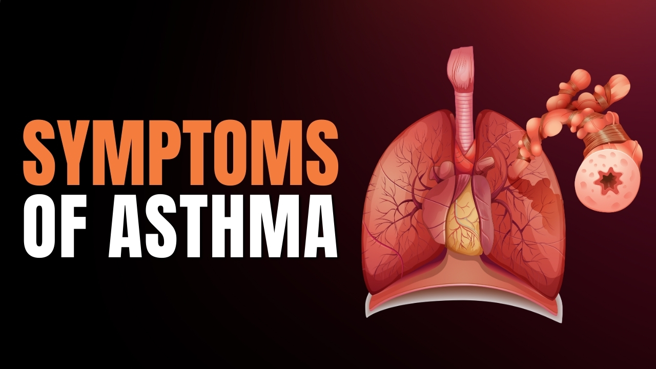 Understanding Asthma | Key Symptoms To Watch Out For!