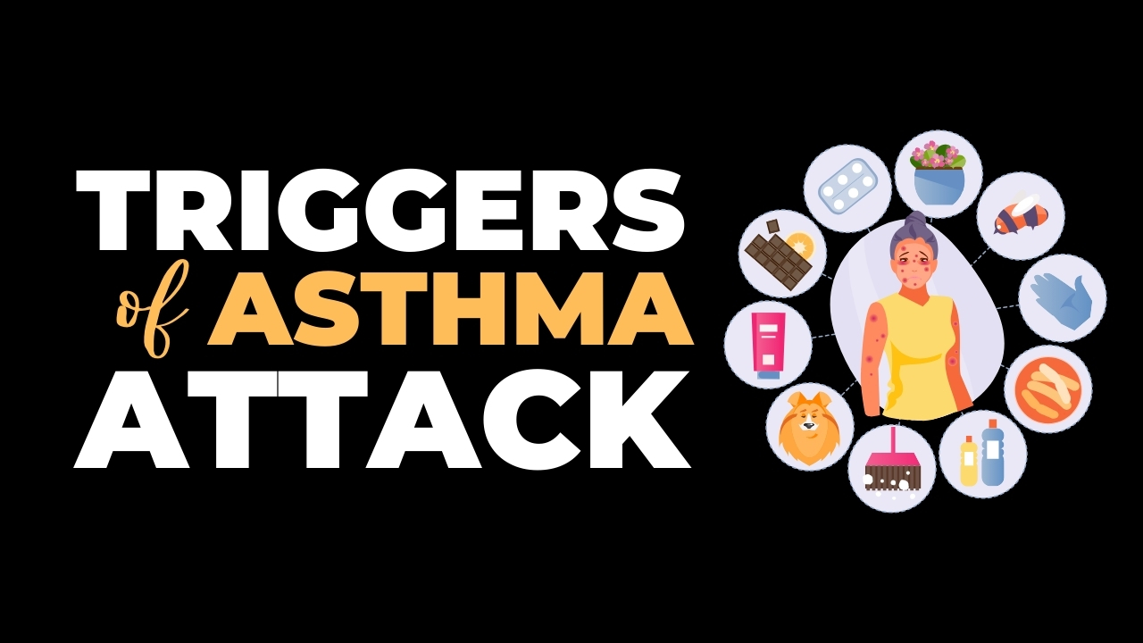The Top Asthma Triggers Exposed | Uncover the Hidden Dangers Now!