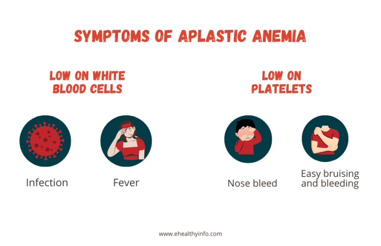 aplastic-anemia-symptoms-causes-and-treatments-e-healthy-info