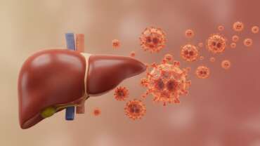 Liver with hepatitis c infection and closeup view of hepatitis c virus hcv 3d illustration