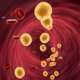 High blood cholesterol-thickened arteries and veins with a 3D rendering red blood cells perspective view