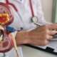 doctor with kidney model for treatment and dialysis of kidney