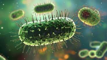 Sickle Cell Disease – Symptoms and Treatments Demystified