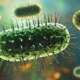 A virus attacking cells in the human body, representing sickle cell disease, is a group of inherited, life-long blood disorders caused by a mutation in the HBB gene, causing red blood cells to become stiff, sticky, and crescent-shaped