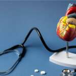 Stethoscope with human heart representing the process of how heart pumps blood