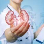 Professional female doctor with a human figure on her hand representing and guiding to keep your kidney healthy