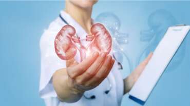 Professional female doctor with a human figure on her hand representing and guiding to keep your kidney healthy