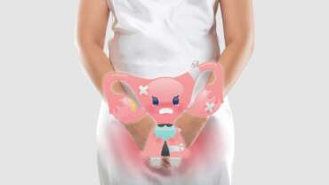 Illustration of the uterus is on the woman's body, on a gray background, the female anatomy concept vaginal yeast infection treatment