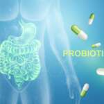 Intestines hologram and probiotic medications and gut health