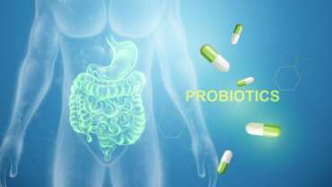 Intestines hologram and probiotic medications and gut health