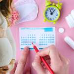 Menstruation period cycle of monthly and pregnant women, representing the safe period to avoid pregnancy