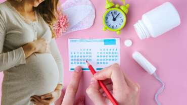 Menstruation period cycle of monthly and pregnant women, representing the safe period to avoid pregnancy