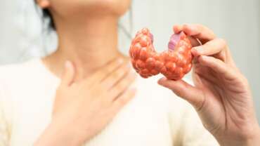 woman with thyroid gland human anatomy model representing the causes of hyperthyroidism
