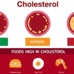 Cholesterol in artery health risk vector design, foods high in cholesterol and representing the signs of cholesterol