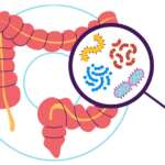 probiotics and prebiotics illustration of healthy microbiome