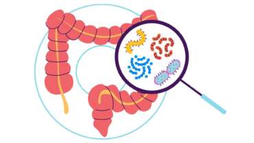 probiotics and prebiotics illustration of healthy microbiome