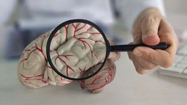 A doctor using lens to see a close-up of the human brain as the signs of stroke