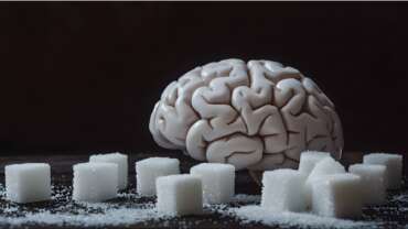 Illustration sugar cubes impact on brain and nutrition