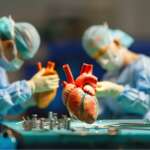 3d rendering image illustrating the process of heart transplantation, including donor selection, surgical procedure