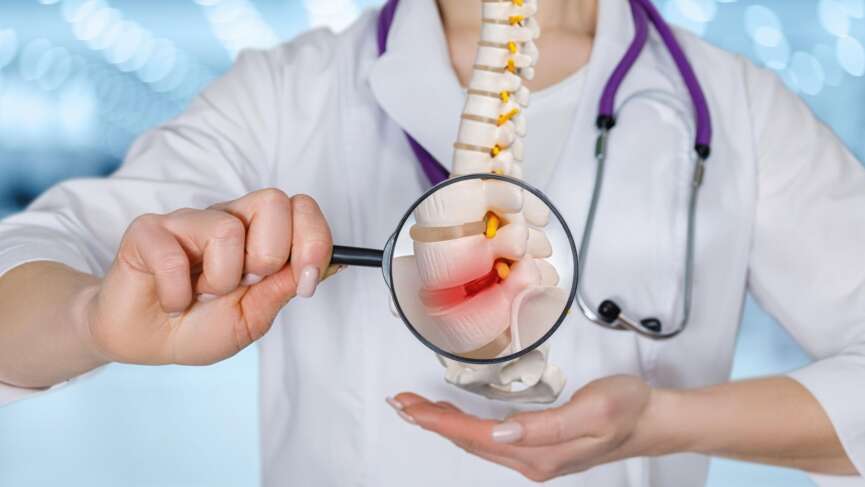 Detailed examination of a bone marrow biopsy model by a medical professional