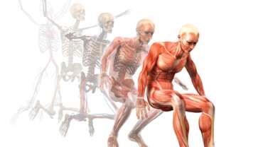 stages of cancer cachexia