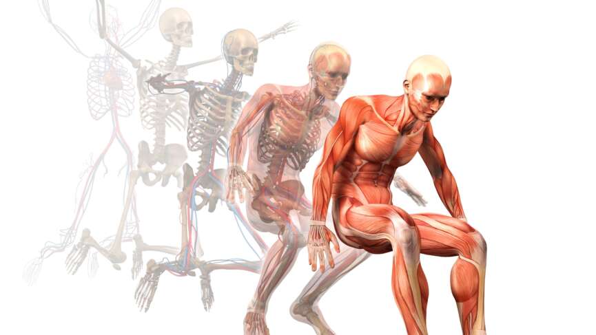 stages of cancer cachexia