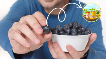 blueberries and pesticides