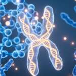 What are Telomeres?