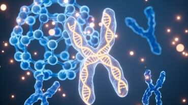 Telomeres and Aging