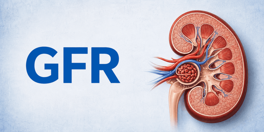 Your GFR is a silent early warning system for kidney health. Here is what the number means and how to protect it.