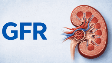 How to Improve Your GFR Naturally | 5 Ways to Protect Your Kidneys