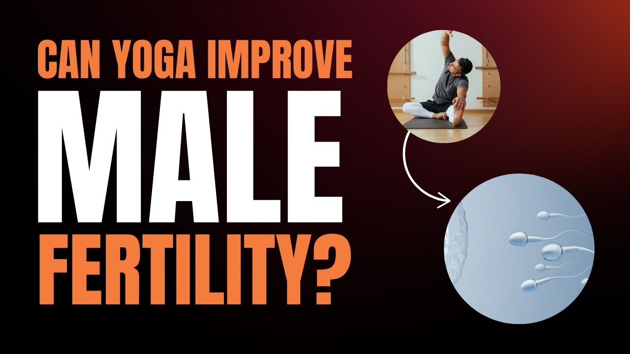 Can Yoga Improve Fertility? 🏋️‍♂️ What Are the Best Poses to Enhance Reproductive Health?