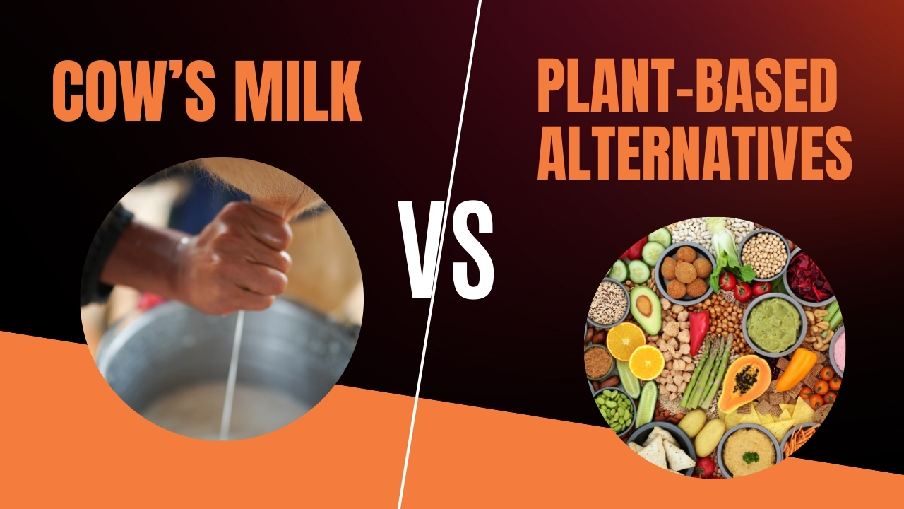 Cow’s Milk vs. Plant-Based Milk: Making the Right Choice for You