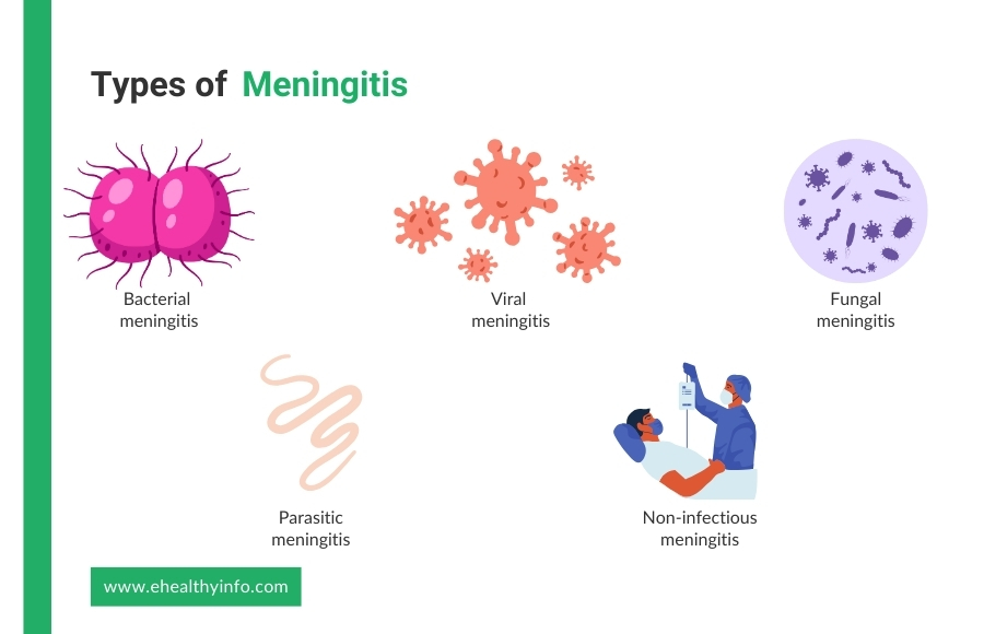 Types of Meningitis