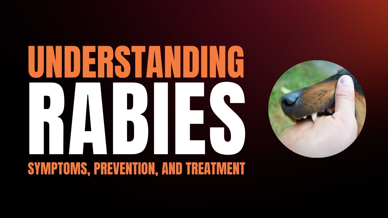 Understanding Rabies Symptoms, Prevention, and Treatment