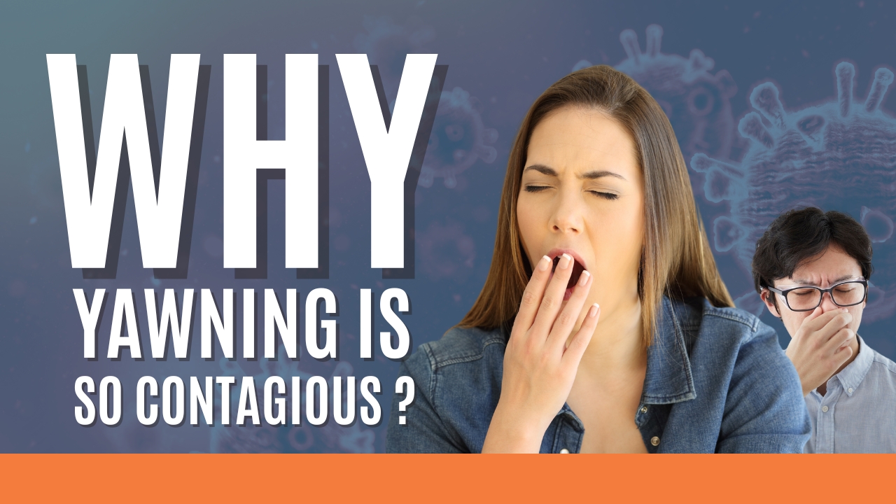 The Science Behind Contagious Yawning