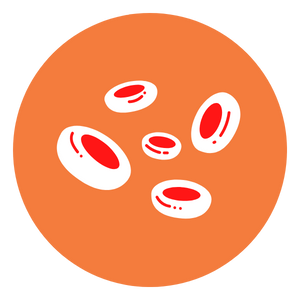 Blood Disorders